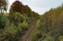 Trees and vegetation will be removed along a stretch of the Glasgow to East Kilbride line.