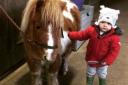 Two-year-old Alfie with much-loved miniature Shetland pony Woody.