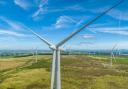 Insects from Whitelee Windfarm to be used in research project