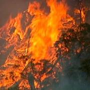 Scottish Fire Service issues 'extreme' wildfire warning