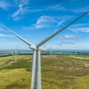 Insects from Whitelee Windfarm to be used in research project