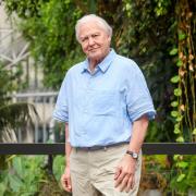 Sir David Attenborough's new wax figure has been unveiled by Madame Tussauds.