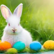 Easter holiday event promises fun for all ages in Barrhead