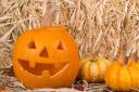 Head along to pumpkin patch to prepare for Hallowe’en fun