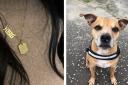 Woman devastated after losing necklace with dog's ashes