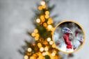 Warning to anyone having Turkey for Christmas amid UK's worst bird flu outbreak