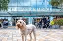 Silverburn shopping centre launches dog friendly status