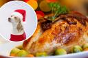 Vets have shared that feeding their dog gravy or mince pies could be toxic to them.
