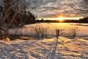4 winter walks to try in and around East Renfrewshire (Canva)