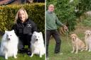 Akira and Nova with Alison Gibson (left) and Bob Lennox with pet pooches Fergus and Maya (right)