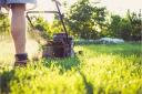 The charity Plantlife is asking people to stop mowing their lawns throughout the month of May as part of the No Mow May campaign