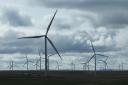 Dog owners issued warning after incident at Whitelee Windfarm