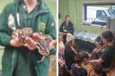 Paisley company brought along a range if interesting animals including snakes and a red tegu lizard