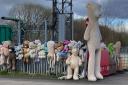 Collection of unwanted teddies dumped from recycling hub