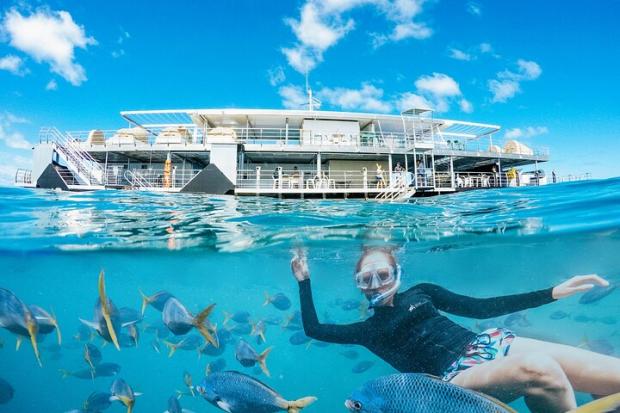 Barrhead News: Two-Day Great Barrier Reef "Reefsleep" Experience - Airlie Beach, Australia Credit: TripAdvisor