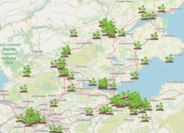 Barrhead News: Giant Hogweed Locations Map. Credit: WhatShed