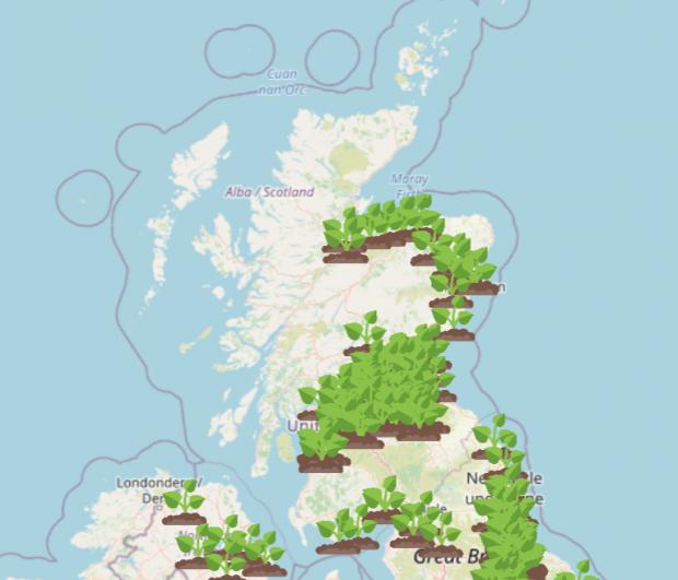Barrhead News: Giant Hogweed Locations Map. Credit: WhatShed