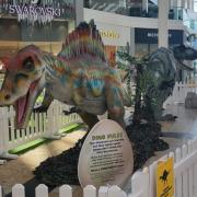 Dinosaurs are taking over a local shopping centre