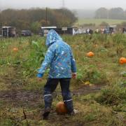 Mill Park Pumpkin Patch has been very popular with families
