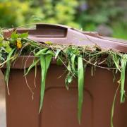 The council only charges for the collection of garden waste