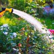 From buying a water butt to keeping on top of weeds, here are 5 affordable ways to prepare for a hosepipe ban in the UK