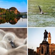 Have a look at some of the amazing pictures sent in to our Camera Clubs this week