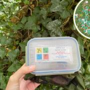 I tried geocaching and think it could be the free school summer holiday activity we all needed