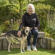 Phyllis and Gongo at home in Giffnock