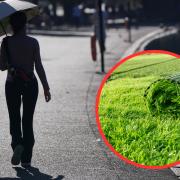 Experts are warning Brits against getting burned when sitting or walking on artificial grass during this week's heatwave