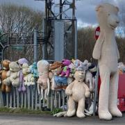 Collection of unwanted teddies dumped from recycling hub