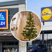 From Christmas trees and decorations to childrens' toys, here are some of the things you'll find in the Aldi and Lidl middle aisles from Thursday