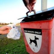 'Zero' fines dished out for dog fouling in East Renfrewshire last year