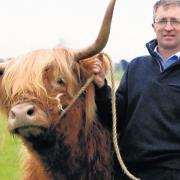 Jock the 5th of Woodneuk was named the best bull in Scotland at the 2009 Royal Highland Show