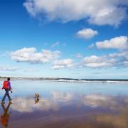Check with your local authority to find out the most up to date rules for beaches near you