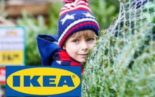 Here's how to get your £20 Ikea voucher when you buy your Christmas tree
