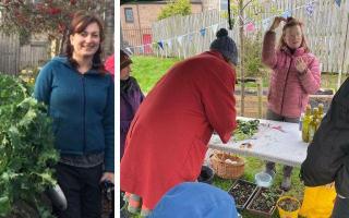 Cat Train, left. Incredible Edible has been busy creating a community herbal garden in the village