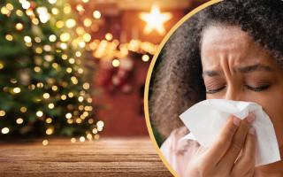 GP, Dr Bhavini Shah (GMC: 7090158) from LloydsPharmacy Online Doctor has urged Brits that their common cold symptoms could actually be allergies and what many call 'Christmas Tree syndrome'. 